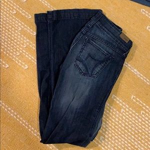 Ariat trouser long inseam